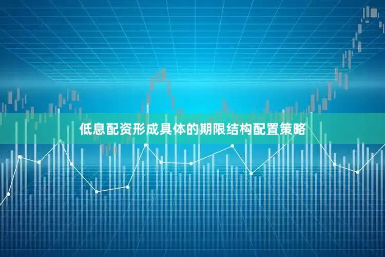 低息配资形成具体的期限结构配置策略