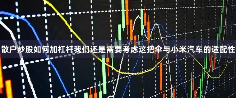 散户炒股如何加杠杆我们还是需要考虑这把伞与小米汽车的适配性