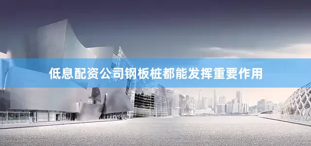 低息配资公司钢板桩都能发挥重要作用